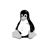 Das Linux-Maskottchen Tux: Ein stilisierter, sitzender Pinguin mit schwarzem Kopf und Rücken, weißem Bauch und grauen Füßen und Schnabel.